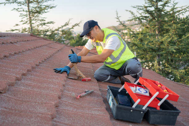 Best Storm Damage Roof Repair  in Wyoming, MN